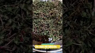 नोनी साग रेसिपी|| how to make noni saag at home|| viralhitssong||@jyotisharmalife-jyotikiduniya|food