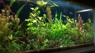 from lowtech to midtech