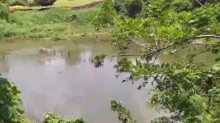 നിര്&zwj;മാണോദ്ഘാടനം കഴിഞ്ഞിട്ട് 5 വര്&zwj;ഷം; എങ്ങുമെത്താതെ പാലാ അരുണാപുരം ചെക്ക് ഡാം | Pala Arunapuram che