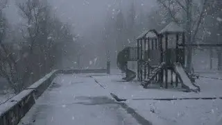 11 Hours Blizzard Sounds for Sleeping | Deep Howling Wind & Blowing Snow Ambience |Deep Sleep, Relax