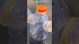 MIND-BLOWING Bottle Fish Secrets You Won't Believe! l bottle fish technique #fishing #shorts