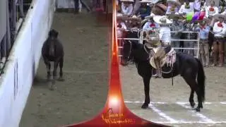 DLM054 141216 9º Programa Chiapas 2016 Final Charro Completo Bloque 1
