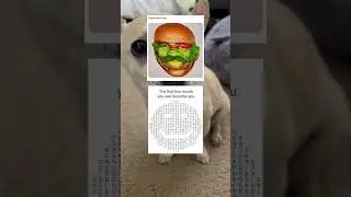Steve Harvey is burger?😋💀 #funny #memes