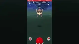 Catch#629 - Vullaby | Pokemon GO
