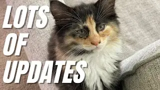 Lots of Updates | Flavored Extracts, Gardyn, Long Keeper Tomato and more!