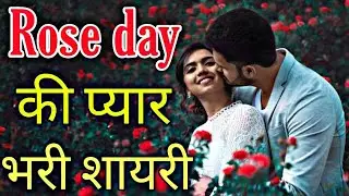 Special Rose Day Shayari 7 February 2021 | New Rose Day Shayari in Hindi 2021 | happy rose day 2021