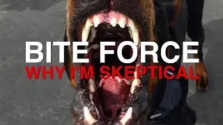 WHY I'M SKEPTICAL OF BITE FORCE STATS