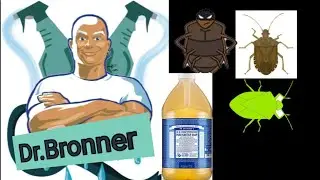 Dr.Bronner Organic Pure  Castile Insecticidal Soap Review/ Pest Control