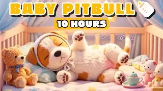 10 HOURS Nursery Lullaby for Pitbull 🍼 Baby Crib & Soft Stars
