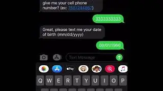 Professional Credit SMS Chatbot Overview