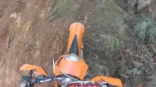 Stanley forest pt 3