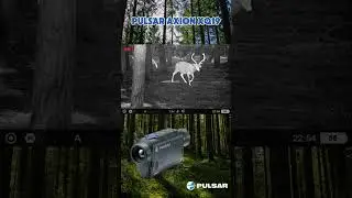Pulsar Axion XQ19 Termokamera