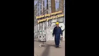 Robot dog inspects power grid in China