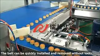 Cake Biscuit Packing Line