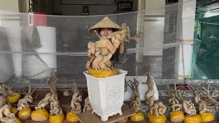 Ngày 24/12 Nhà vườn Hương Đoàn giao lưu phôi hoa giấy giá bình dân cây đẹp ☎0939.421.599