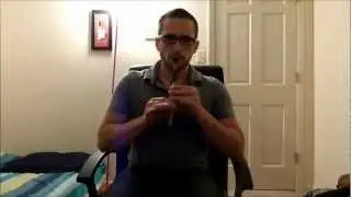The Cat's Meow on Tin Whistle in D (John Sindt)