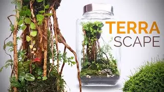 Ancient Vines Terrascape (Closed Terrarium Build)