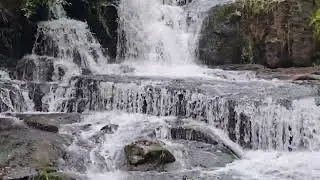 Alsea Falls, Oregon 2025
