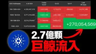 A massive influx of 270 million ADA tokens, along with whale buying sprees of DOGE, XRP, and ETH!