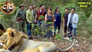 Jungle में हुआ Team CID का इस खतरनाक शेर से सामना | CID | सी.आई.डी. | Latest Episode | 22 Jan 2026