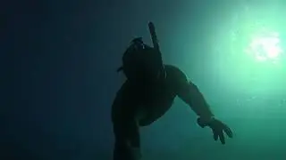 Breathtaking Dive in the Atlantic 💦 #MarineLife