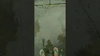 Puddlegram