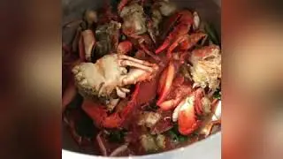 Bouillon crab culture moris