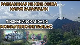 PAGHAHANAP NG KING COBRA NAUWI SA PASYALAN | MOCCA PUNO