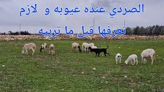 الحلقة 748.🐏❤️🇲🇦❤️. 