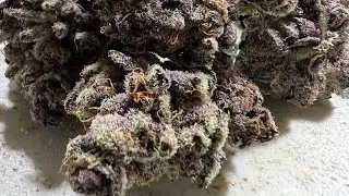 Tropicana Cherry by Glaze Cannabis #strainreview #tropicanacherry #glazecannabis