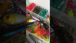 #fishing #tacklebox #fish #fishbox #viralshort