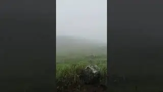 Fog❤️ Ponmudi❤️ Walk with your Partner❤️