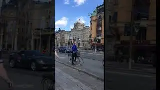 National Day of Sweden 2017