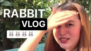 Rabbit Vlog | Daily routine 🐰
