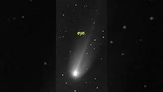 A Rare Comet Will Light Up the Sky in 2060! ☄️#Comet #Spacefacts  #CelestialEvent #DidYouKnow