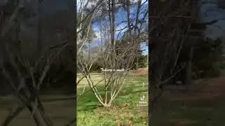 Meditative walk