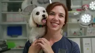 Koi - Veterinary Practice Management Software