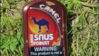 Camel Snus Robust - Review