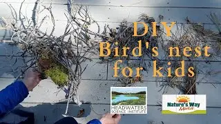 Weekly Science Challenge #9: Make a bird's nest