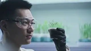 RAINBOW AGRO