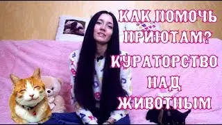 Как помочь приюту для животных?! Часть 2. Кураторство. The Alice Twins #12
