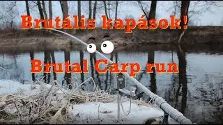 Brutális kapások gyűjteménye! Brutal Carp run !