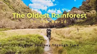 Epic Solo Bikepacking Adventure: 1000km Across Malaysia