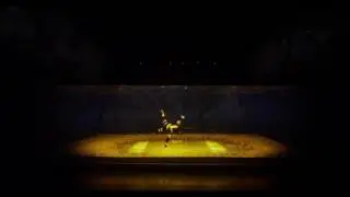 3D mapping & dancing show