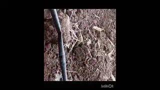 Drip Irrigetion ,  micro irrigation system , drip irrigation wholesaler