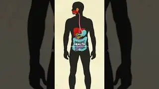 Learn the amazing benefits of Burdock Root and why its in the SBB Formula.