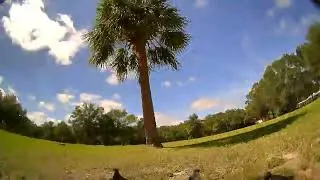 Local RC Guys 1