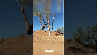 #memes #memeterbaru #funny #fyp #viral #viralvideo #shorts #fyppa