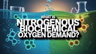 What is Nitrogenous Biochemical Oxygen Demand (NBOD)?