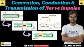 Generation & Conduction of Nerve Impulse | Nervous System | NEET | Dr. Atul Pratap Sharma | NCERT |